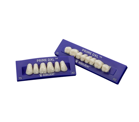 NOBILDENT Prime DXL Artificial Denture Teeth