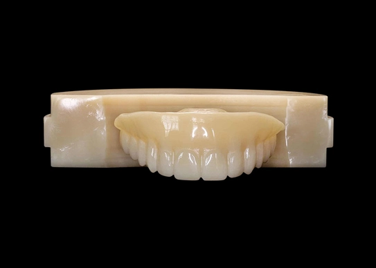 pmma disc dental