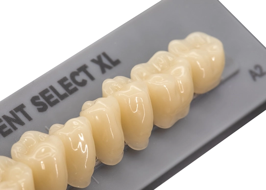 artificial denture teeth material