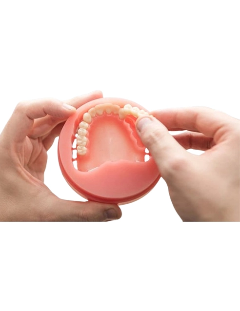 Digital Denture Solution