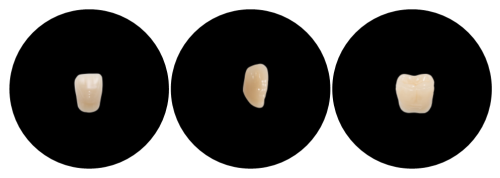 212b926a-5513-5f2a-2334-3c1d54493c5d_副本.png
